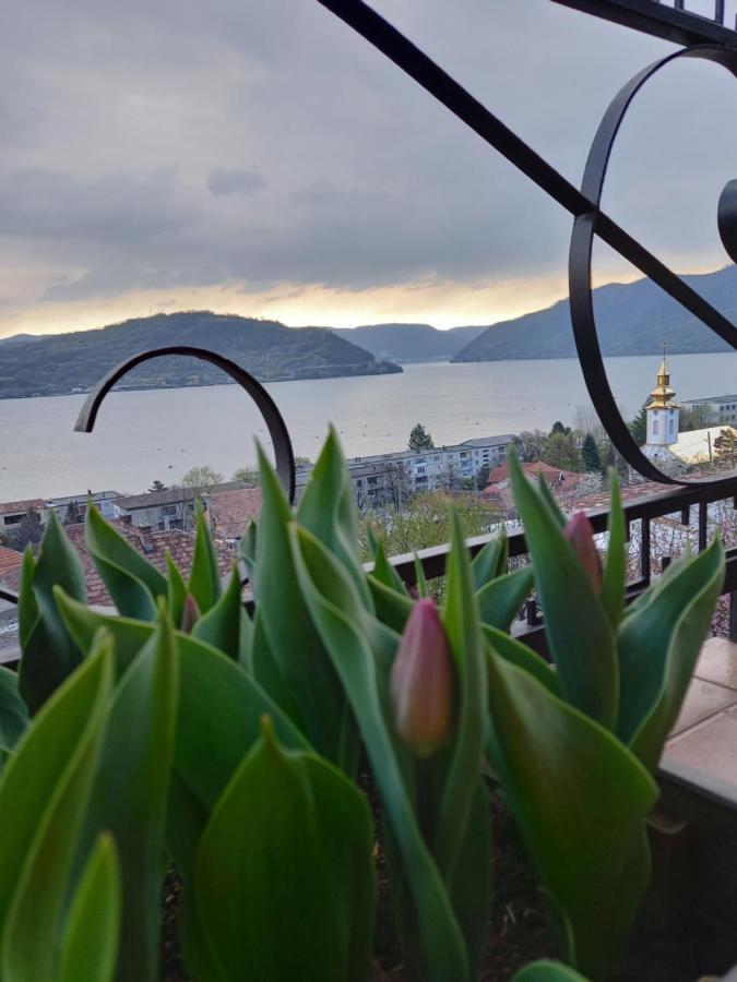 Вилла Casa Lui Marc Оршова Экстерьер фото
